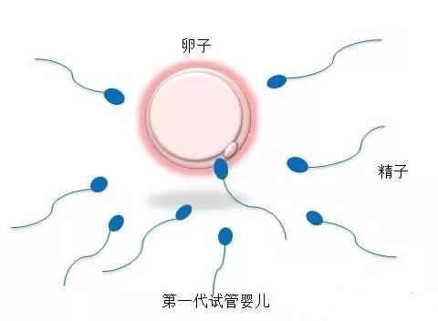 青碧生殖医学中心
